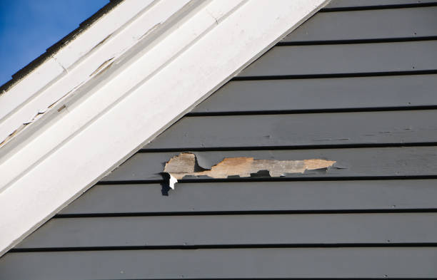 Best Siding Painting and Refinishing  in Earlvle, IL