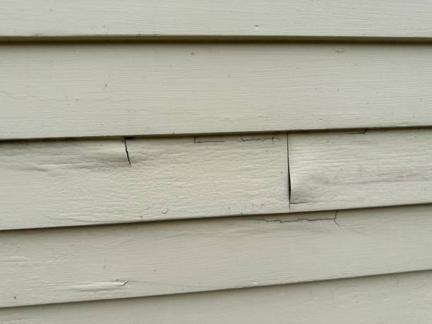 Best Stone Veneer Siding  in Earlvle, IL